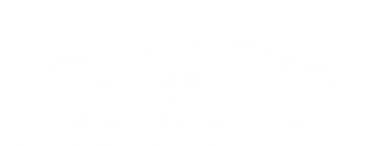CarSaler
